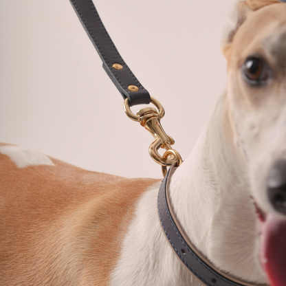 Classic Leather Leash