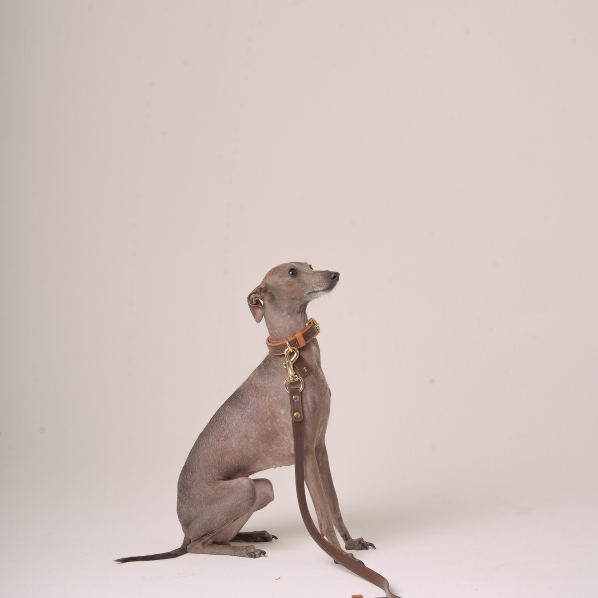 Classic Leather Leash