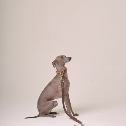 Classic Leather Leash