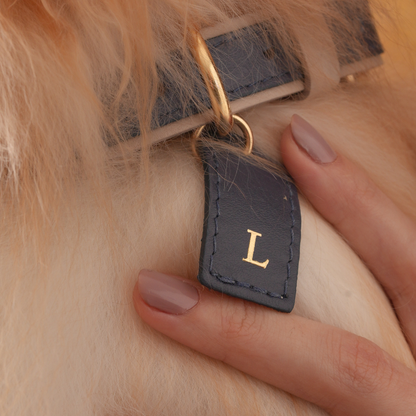 Personalized Leather Collar