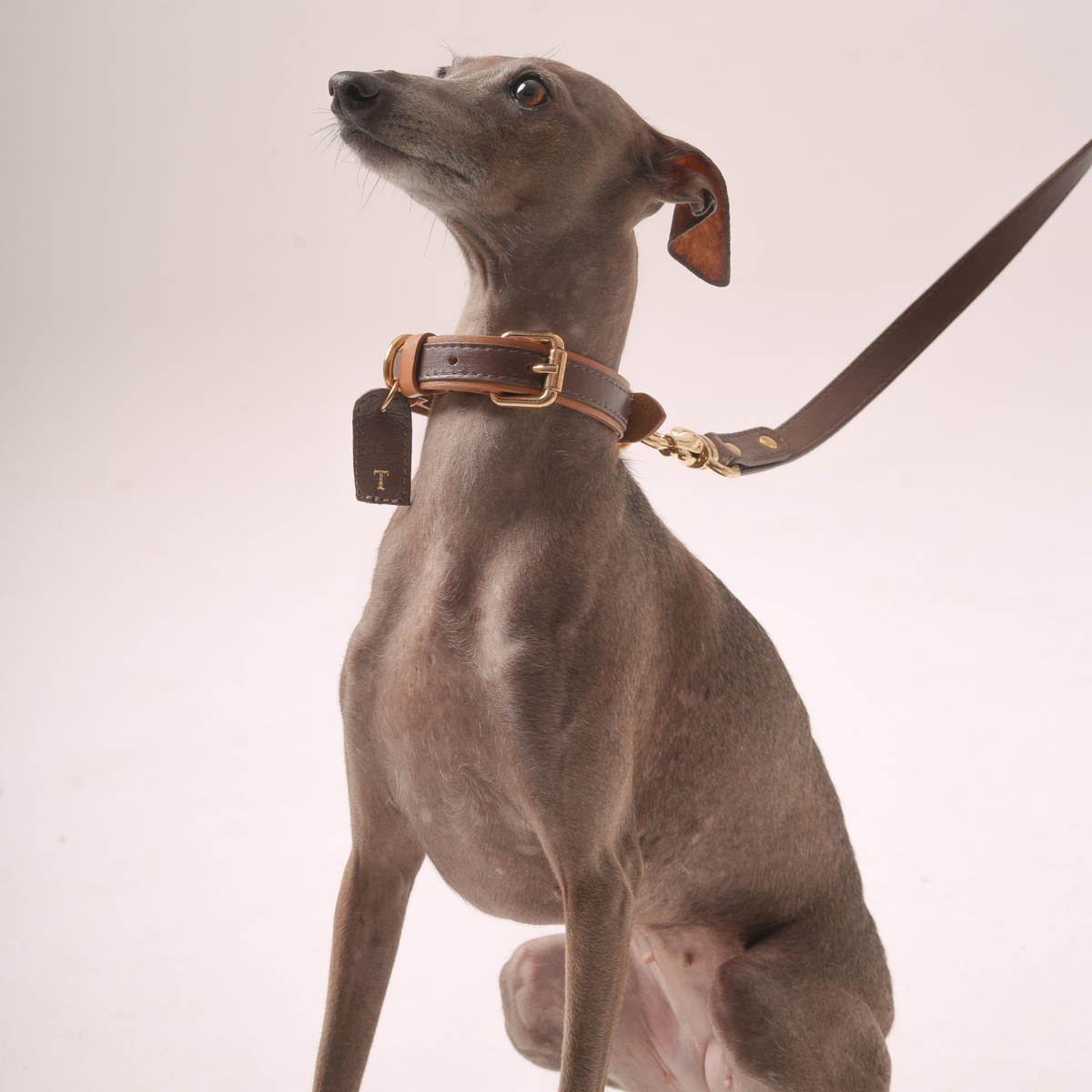 Leather Crossbody Leash