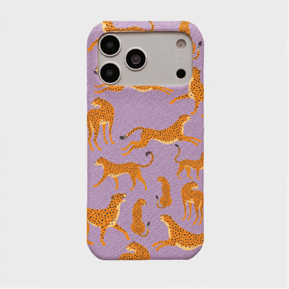 Case Jaguar Smooth Leather Color