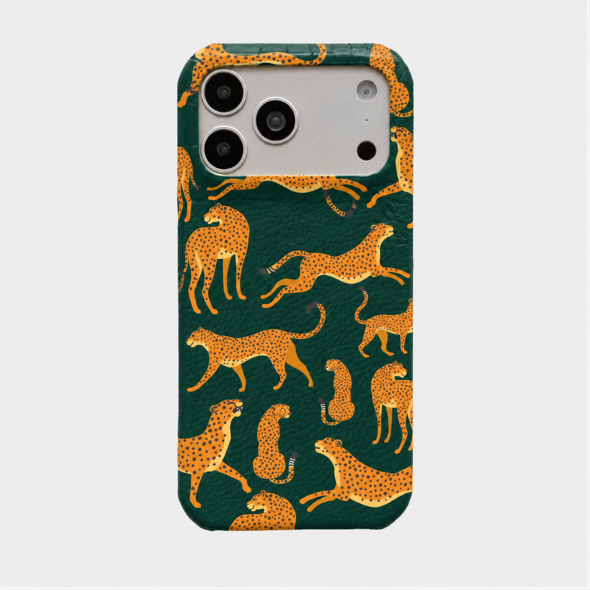 Case Jaguar Smooth Leather Color
